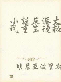 小说反派大佬让我重生后救他封面