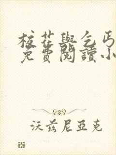 校花与乞丐全文免费阅读小说