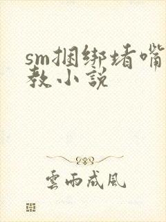 sm捆绑堵嘴调教小说