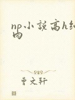 np小说高h纯肉