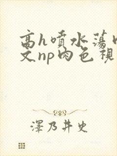高h喷水荡肉爽文np肉色视频
