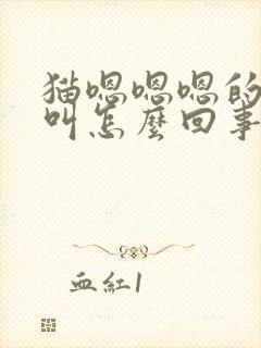 猫嗯嗯嗯的闷声叫怎么回事