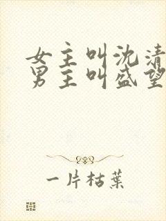 女主叫沈清秋,男主叫盛望