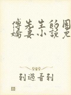 傅先生的团宠小娇妻小说免费阅读封面