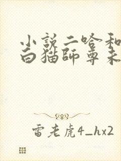 小说二哈和他的白猫师尊未删减版封面