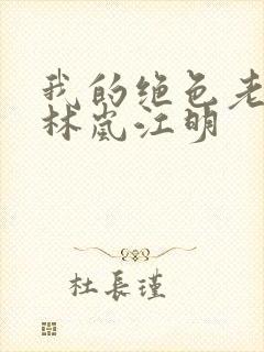 我的绝色老板娘林岚江明