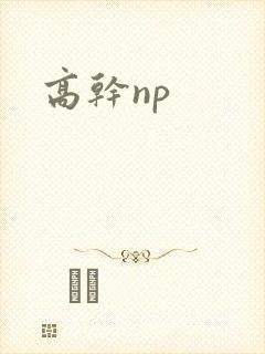 高干np