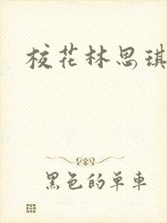 校花林思琪