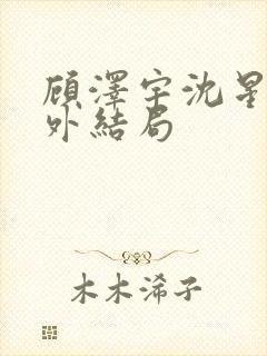 顾泽宇沈星晚番外结局封面