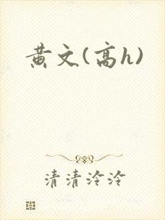 黄文(高h)