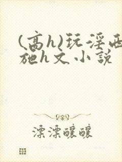 (高h)玩淫西施h文小说