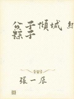 公子倾城 维和粽子