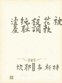 清纯校花被民工羞耻调教封面