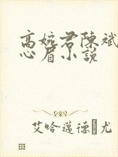 高婉君陈斌和赵心眉小说