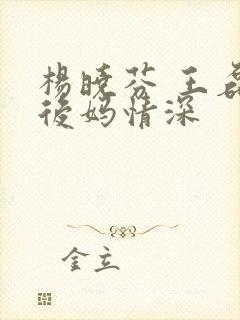 杨晓芬 王磊 后妈情深