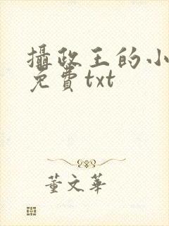 摄政王的小闲妻免费txt