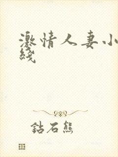 激情人妻小说在线