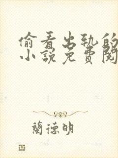 偷看出轨的老婆小说免费阅读