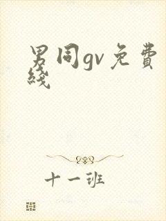 男同gv免费在线