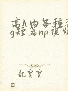 高h肉各种姿势g短篇np视频