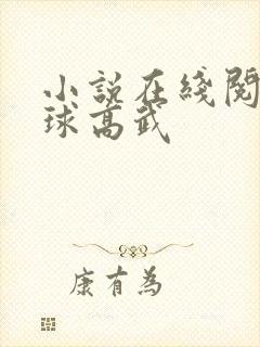 小说在线阅读全球高武封面