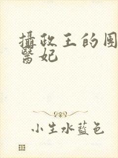 摄政王的团宠小医妃
