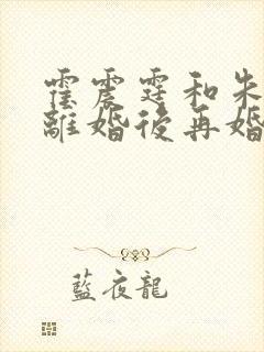 霍震霆和朱玲玲离婚后再婚了吗