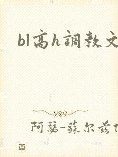 bl高h调教文
