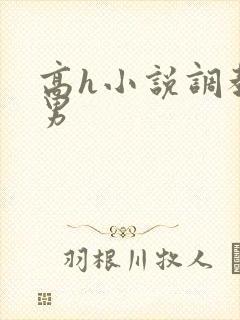 高h小说调教男男