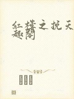 红楼之挽天倾笔趣阁