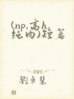 (np,高h,纯肉)短篇