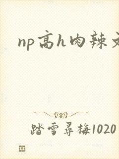 np高h肉辣文