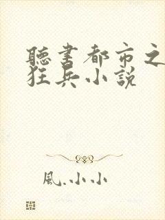 听书都市之最强狂兵小说