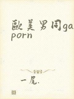 欧美男同gayporn