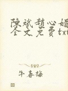 陈斌赵心媚小说全文免费txt封面