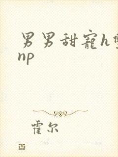 男男甜宠h双性np