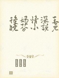 后妈情深王磊杨晓芬小说免费