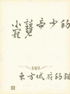 小说帝少的心尖宠儿