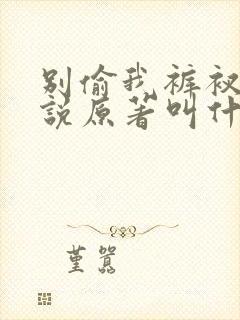 别偷我裤衩子小说原著叫什么名字