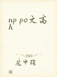 np po文高h封面