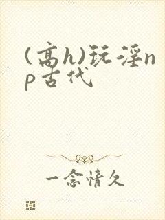 (高h)玩淫np古代