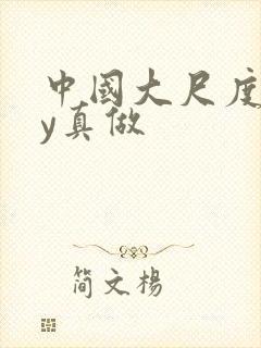 中国大尺度gay真做封面