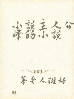 小说主人公叫林峰的小说
