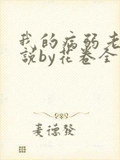 我的病弱老婆小说by花卷全文