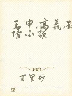 王申,高义,孙倩小说