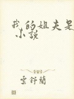 我的姐夫是太子 小说封面