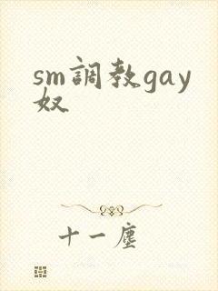 sm调教gay奴
