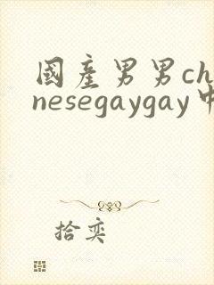 国产男男chinesegaygay中国帅哥网站