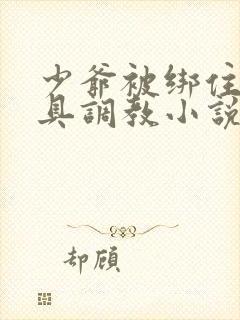 少爷被绑住用刑具调教小说