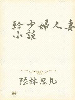 干少妇人妻系列小说封面